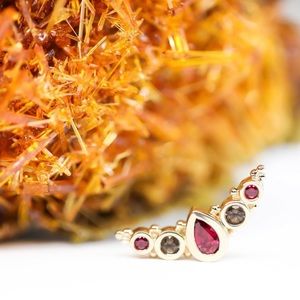 BVLA Charlotte panaraya